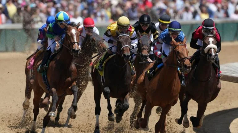 2024 Tampa Bay Derby Predictions