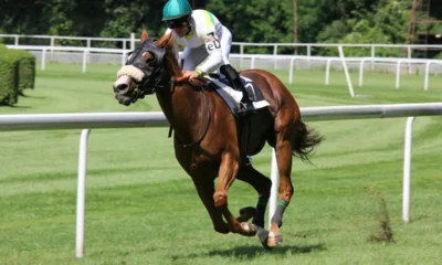 5 Horse Racing Tips