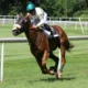 5 Horse Racing Tips