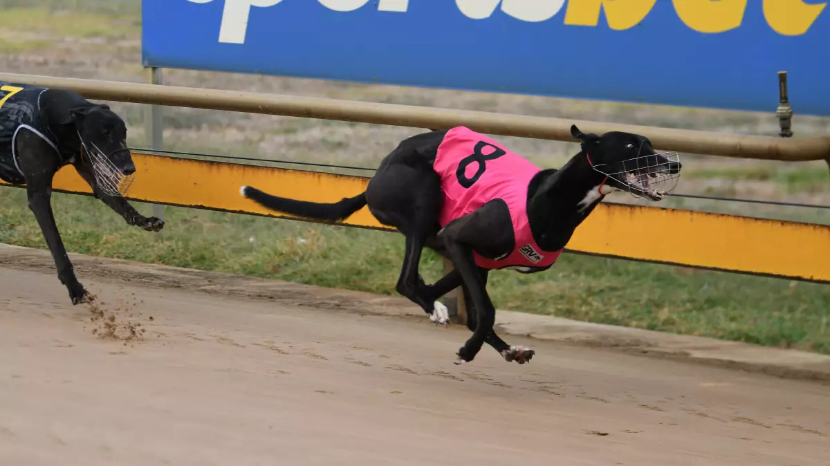 Fernando Phil Gallops to Victory