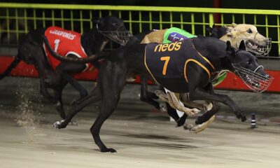 Nangar Larry Claims Thrilling 2024 Bulli Gold Cup Victory