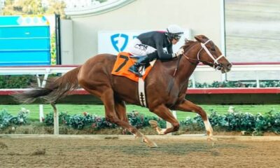 Santa Anita The Chosen Vron Faces 6 Rivals in San Carlos