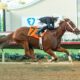 Santa Anita The Chosen Vron Faces 6 Rivals in San Carlos