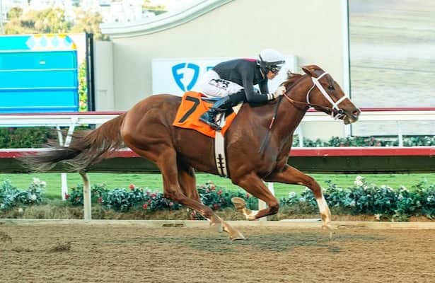 Santa Anita The Chosen Vron Faces 6 Rivals in San Carlos