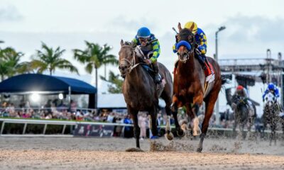 Señor Buscador and National Treasure Lead