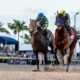 Señor Buscador and National Treasure Lead