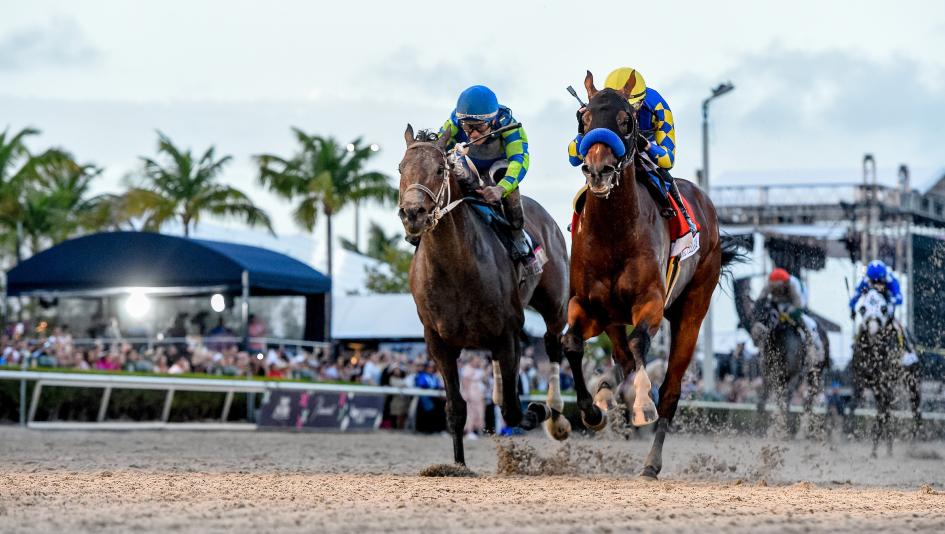 Señor Buscador and National Treasure Lead