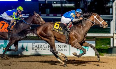 horse racing-new