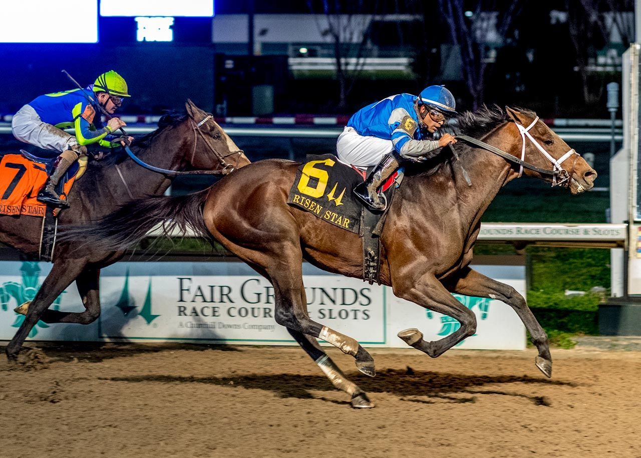 horse racing-new