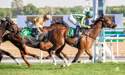 horseracing