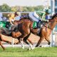 horseracing